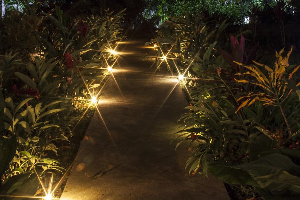 Manuel Antonio Hostel Resort エクステリア 写真