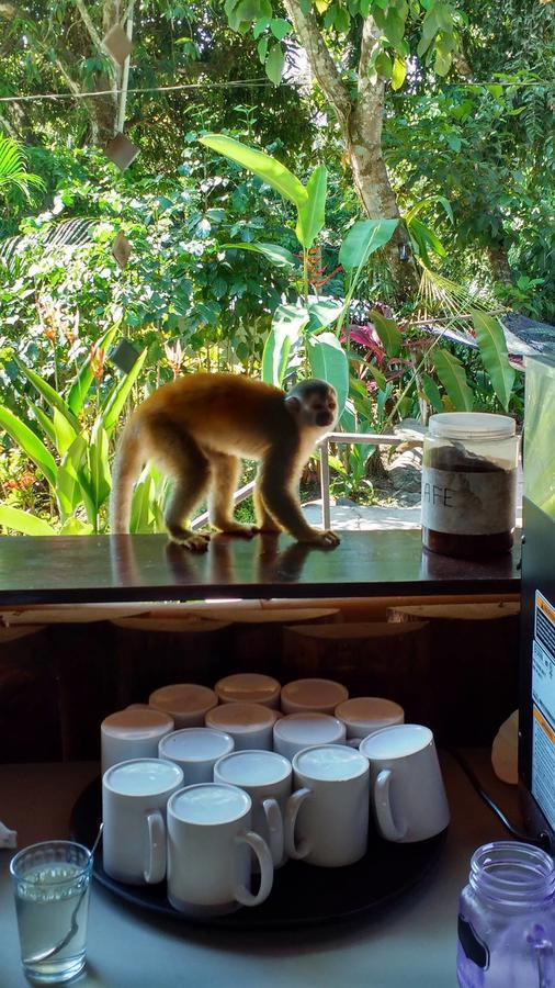 Manuel Antonio Hostel Resort エクステリア 写真